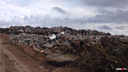 Исчезнут вонь, огонь и птицы: глава Министерства ЖКХ — о работе новых мусорных полигонов на Дону