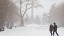 «Мокрый снег и метель»: в Волгоградской области похолодает до -5 ºС