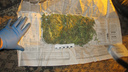 Полтора килограмма наркотиков изъяла курганская полиция