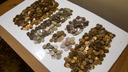 Новосибирцы собрали почти 2 миллиона монет и отнесли их в банки