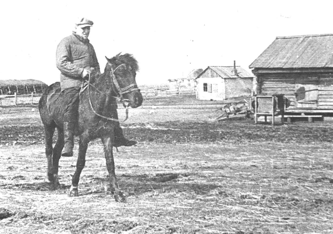 Деревня колхоза. Председатель колхоза 1940 год. Лошади деревня колхоз. Председатель колхоза 1942 год. Председатель колхоза села Токмакла в 1939 году.