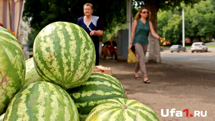Фермерские рынки: 11 площадок Уфы, где можно купить свежие овощи и фрукты