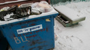 Жители пригорода Кургана, купившие баки за свои деньги, жалуются на невывоз мусора