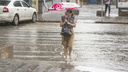 По области объявили штормовое предупреждение: новосибирцев ждут сильный ветер и дождь