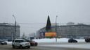 Фото: на площади Калинина поставили огромную ёлку