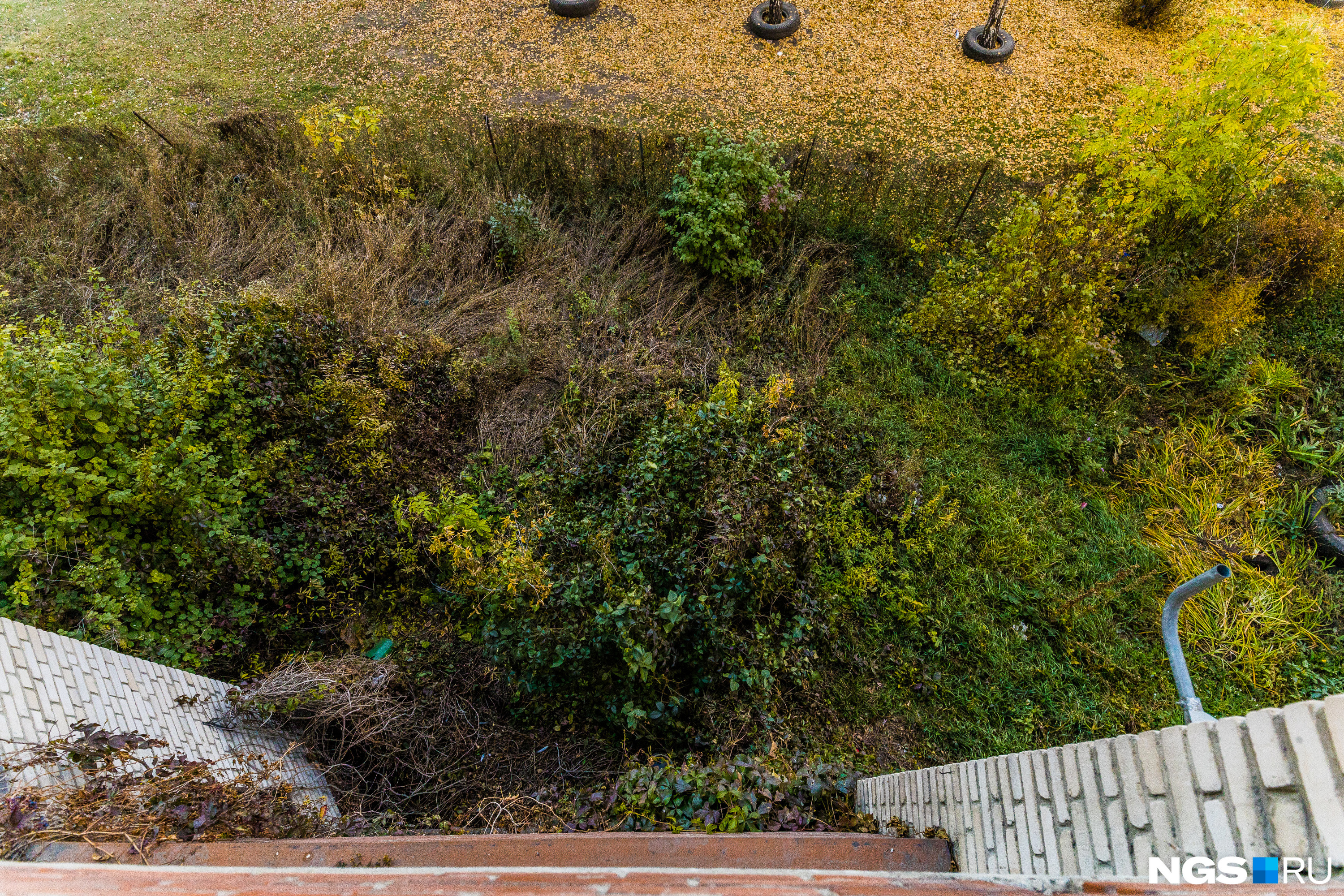 Соседи не могут выходить на свои балконы. Фотографу НГС пришлось задерживать дыхание, чтобы сделать этот кадр — так выглядит с высоты огороженный заводчицей палисадник 