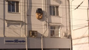 «А изо рта торчит нога!»: необычный арт-объект появился на фасаде дома на Мичурина — Полевой