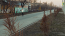 Не гениальная идея: чиновники признались, почему посадили туи на Московском шоссе
