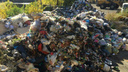 «Вонь стоит невыносимая»: мусор из челябинских дворов свезли на окраину города