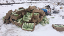 В Кургане уничтожили почти тонну пекинской капусты