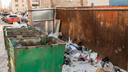 «Уберите свои контейнеры!»: власти Зауралья рассказали о проблемах мусорной реформы