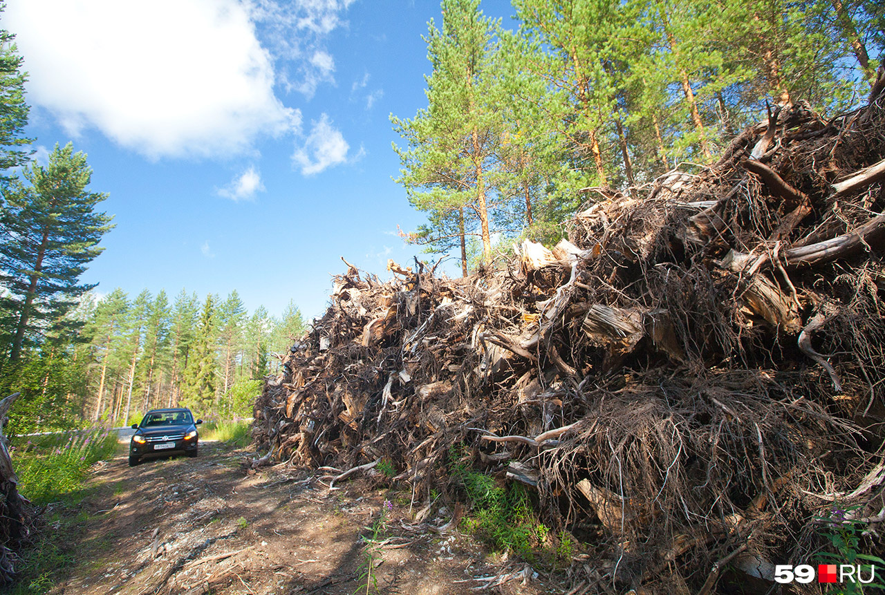 Так лесные дороги оборудованы в Финляндии