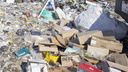 «По документам земля, а по факту — мусор»: в Ярославле под окнами жилых домов устроили свалку