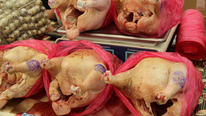 В курице из Сухобузимо нашли вызывающие привыкание антибиотики