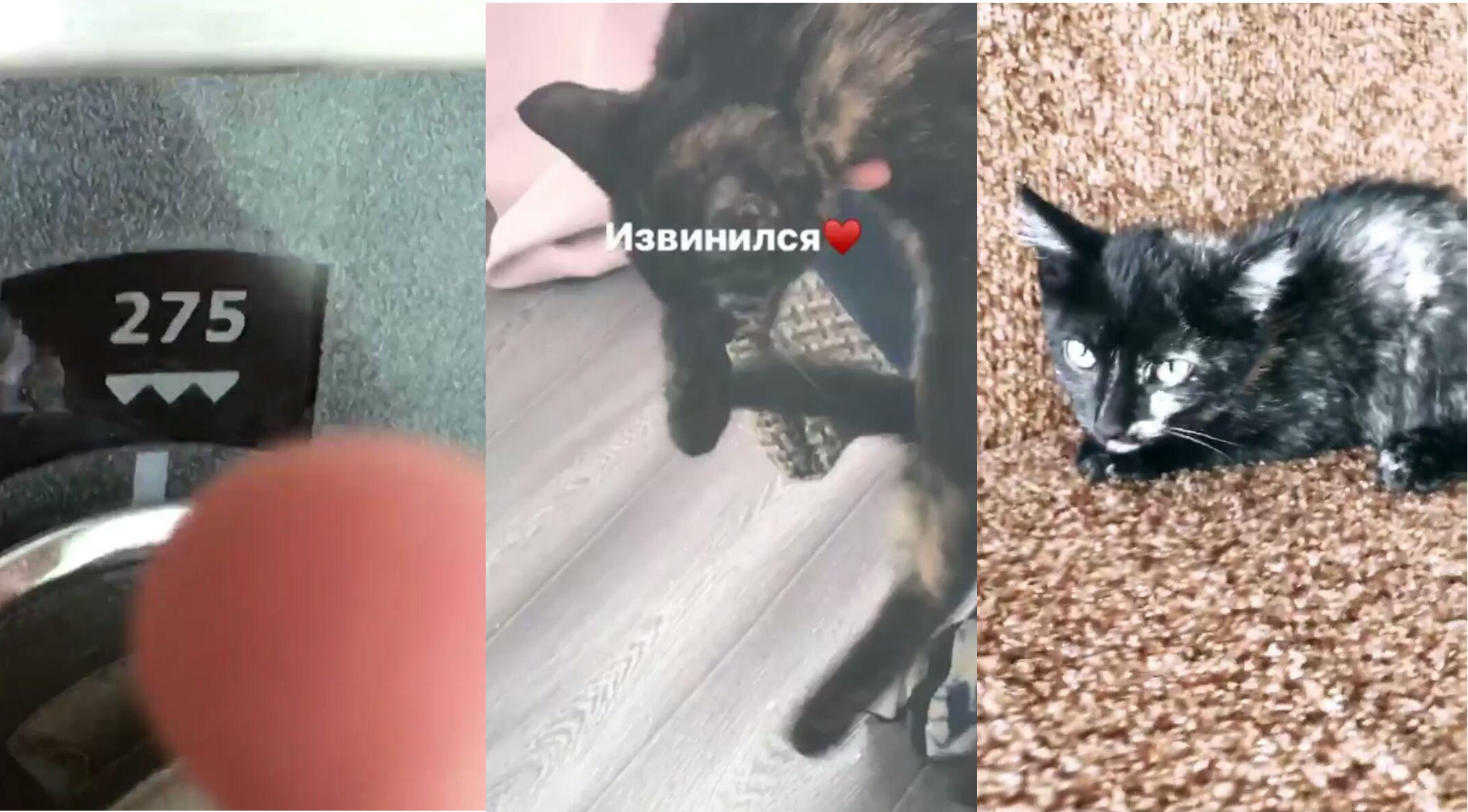Аккаунт Кирилла chto_za_nick. Аккаунт Кирилла chto_za_nick.