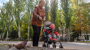 Город в золоте: смотрим самые теплые фотографии осеннего Волгограда