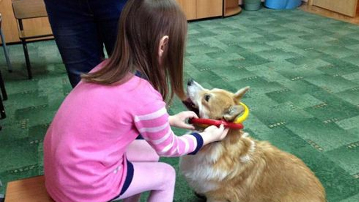 В Красноярске собаки учат детей ходить и общаться с людьми