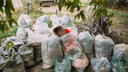 Генеральная уборка: в субботу волонтеры очистят Архангельск от мусора