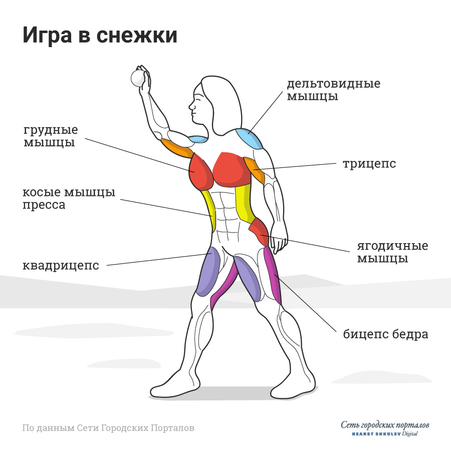 Какие мышцы работают при беге схема