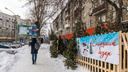 Ёлки-иголки: изучаем, что и за сколько продают на новогодних ёлочных базарах в Новосибирске