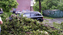 Потоп и разрушения: сильный ливень уронил деревья на машины и детские площадки