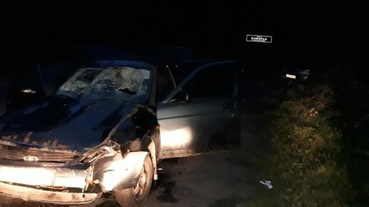 Полиция возбудила уголовное дело против водителя, сбившего семь человек в Городецком районе
