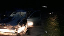 Полиция возбудила уголовное дело против водителя, сбившего семь человек в Городецком районе