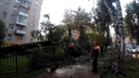 Вырванные с корнем деревья и разломанные трубы: как бушевал ураган в Ярославле