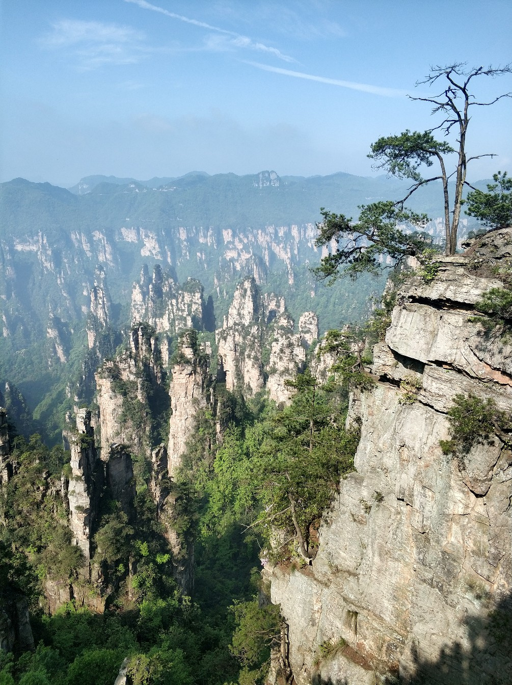 Парящие горы находятся в Zhangjiajie UNESCO Global Geopark