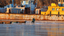Самарским рыбакам разрешат ловить на Волге до 10 кг рыбы