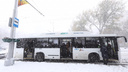 Непогода заморозила трассы: более 60 автобусных рейсов отменили в Ростовской области