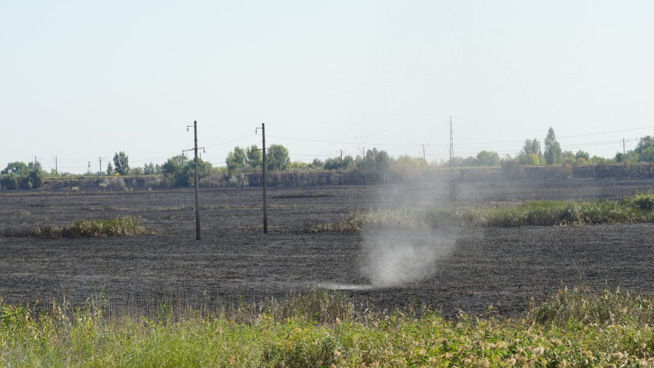 Выгорело пять гектаров: пожар на левом берегу Дона в режиме онлайн