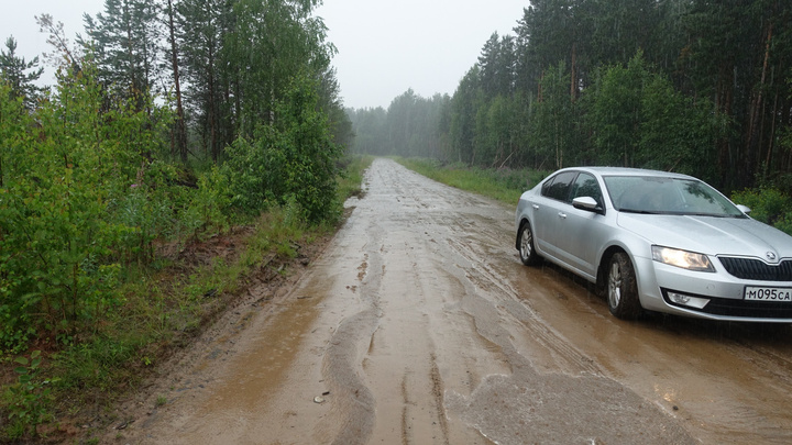 Лес и мох на 7 млн рублей: главу Шенкурского района будут судить за новую дорогу