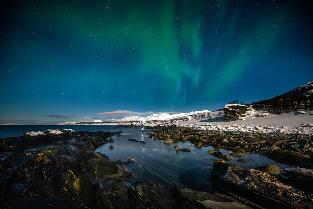 Фото северной звезды