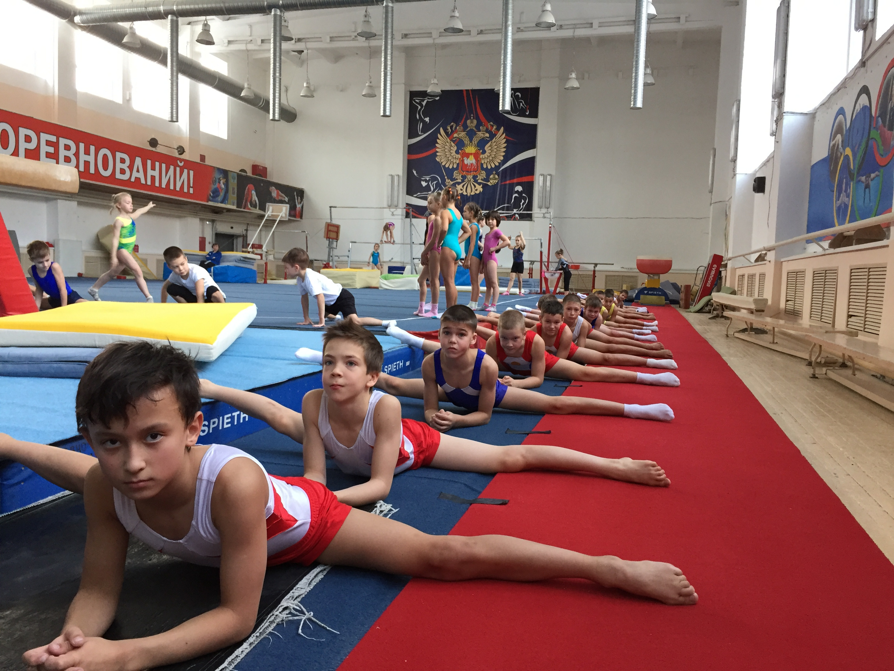 Большинство родителей привезло маленьких спортсменов на занятия Большинство родителей привезло маленьких спортсменов на занятия
