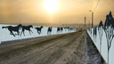 Конский ценник: в Челябинске потратят 200 миллионов на защитные экраны с нарисованными лошадьми