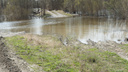 «Вся деревня переживает трагедию»: два рыбака пропали на Убинском озере