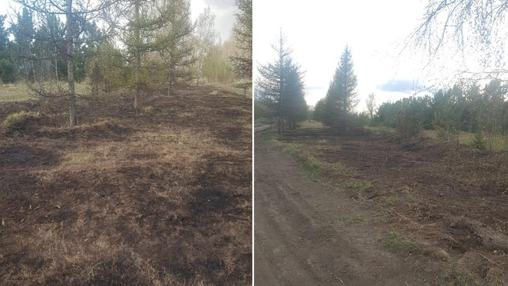 На острове Татышеве из-за пала травы сгорел яблоневый сад Петра Пимашкова
