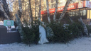 Не нужно ждать до февраля: экоактивисты Ярославля заберут вашу новогоднюю ёлку прямо из квартиры