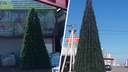 «Пока поставим, пока украсим»: на ростовском рынке «Атлант» появились новогодние елки