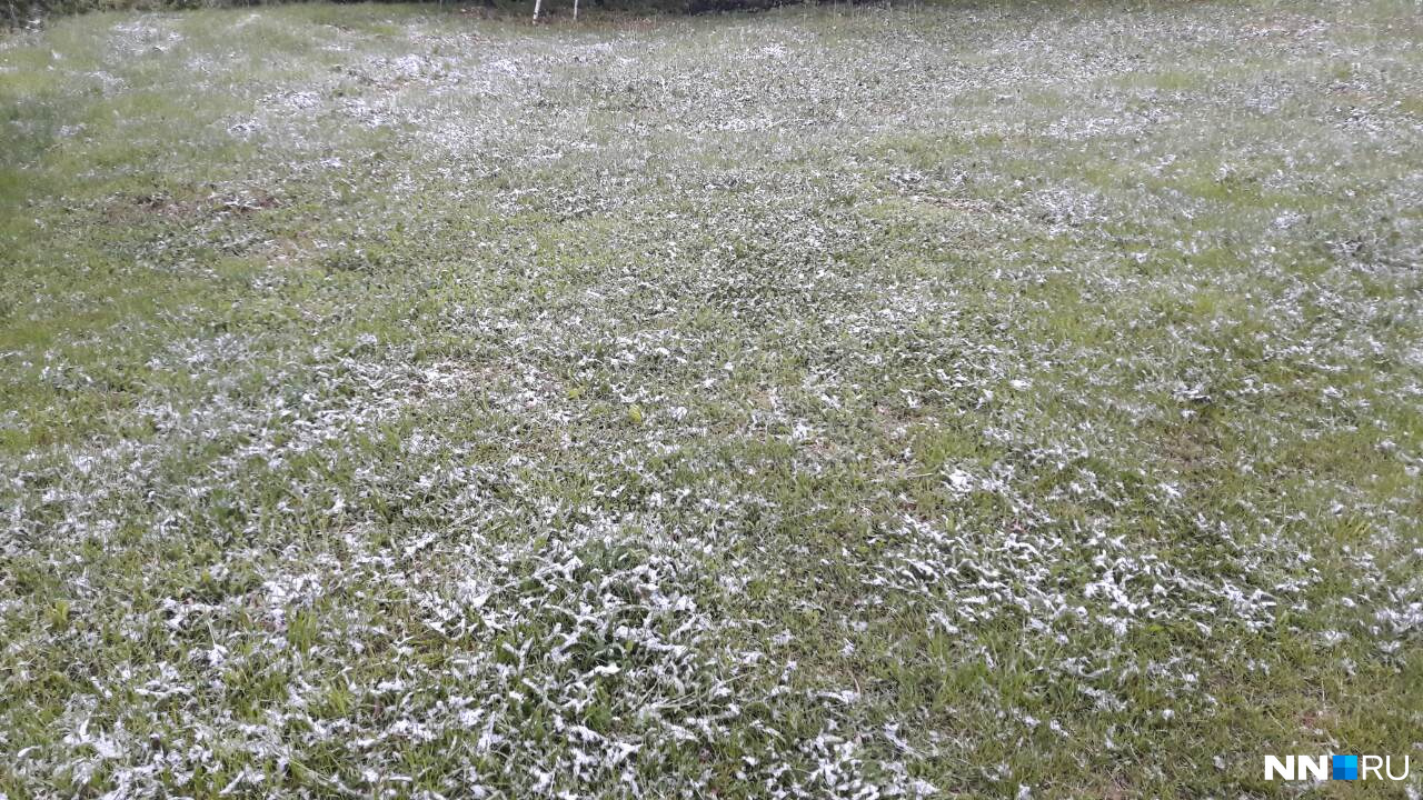 Наутро выпал снег поэтому волга стала. Зимний моздок. Снег выпал утром в шатковском районе. Наутро выпал снег поэтому волга стала. А на утро выпал снег шевчук.