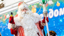 В Кургане в ТРЦ «Стрекоза» откроется резиденция Деда Мороза