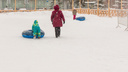 Час за 300 рублей: жители Самары пожаловались на платные ледовые горки в парке Гагарина