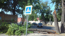 Гнилое дерево рухнуло на пешеходов на переходе возле санатория «Самарский»