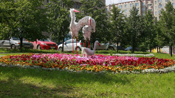 Полмиллиона фиалок и бархатцев: в центре Челябинска сделают больше клумб и вазонов