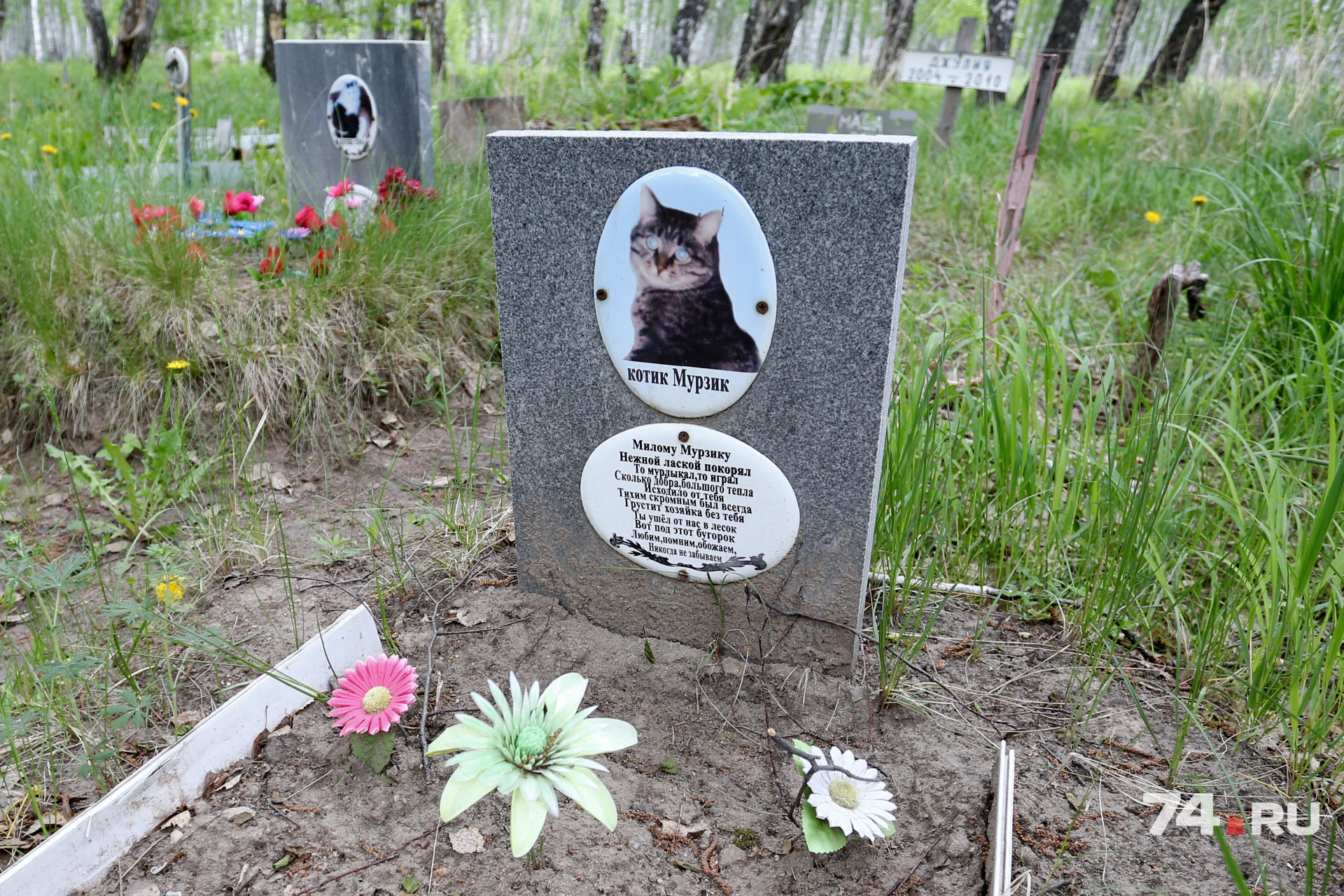 Кладбище домашних животных Челябинск Северо Запад
