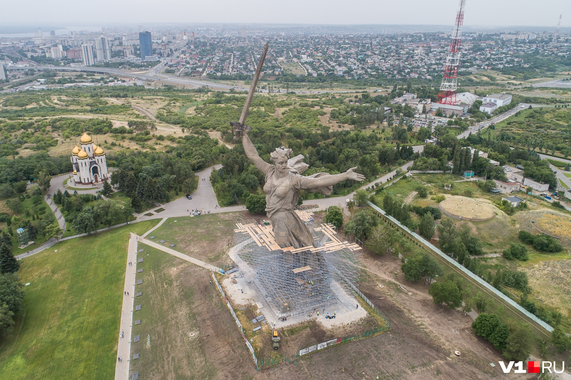 волга раст на мамаевом кургане фото 43