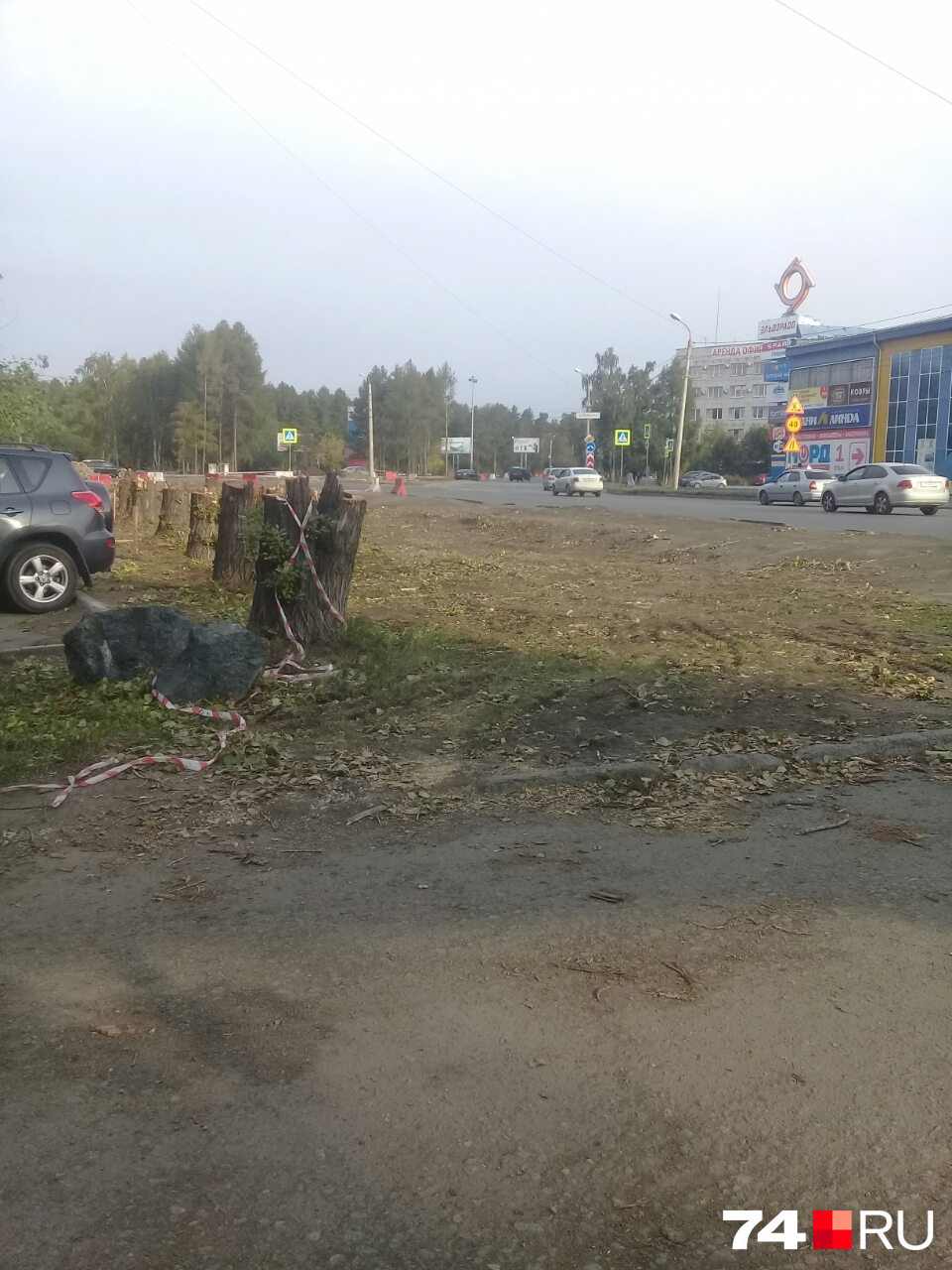По заверениям мэрии, деревья для расширения улицы Дарвина никто не тронет, но на фото — обратное По заверениям мэрии, деревья для расширения улицы Дарвина никто не тронет, но на фото — обратное