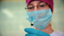 В пермских школах приостановили вакцинацию против клещевого энцефалита