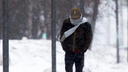 Мокрый снег, туман и ветер: в Самарской области испортится погода